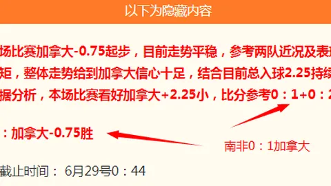 国际足联2026世，足球投注网站，界杯投注平台 112300